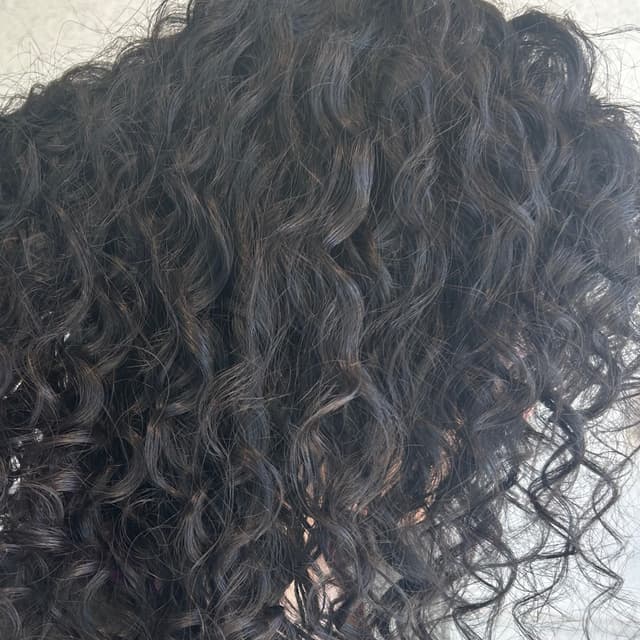 Curly club at Mane & Curl in Newark, DE